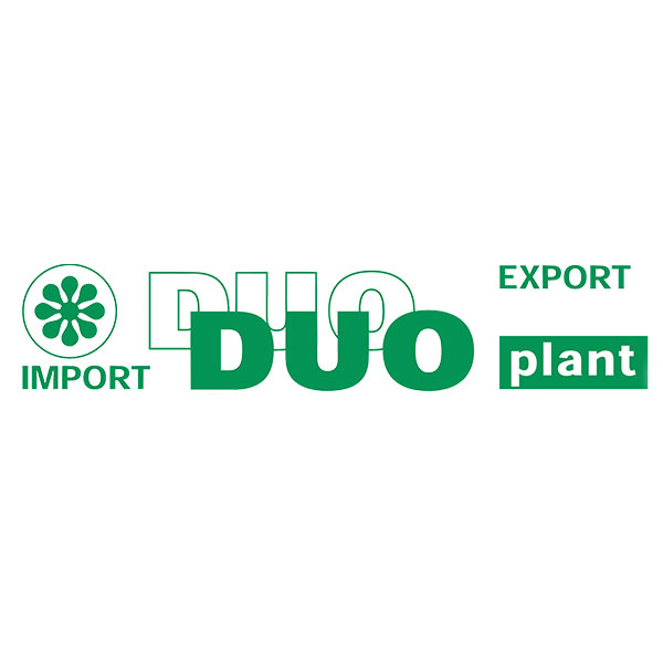 Duo Plant